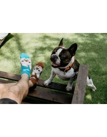 Vidám Bulldog zokni - boka