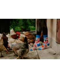 Boldog zokni Rooster