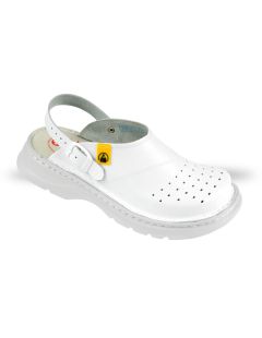 Anatomico 4101-ESD-21 klumpa