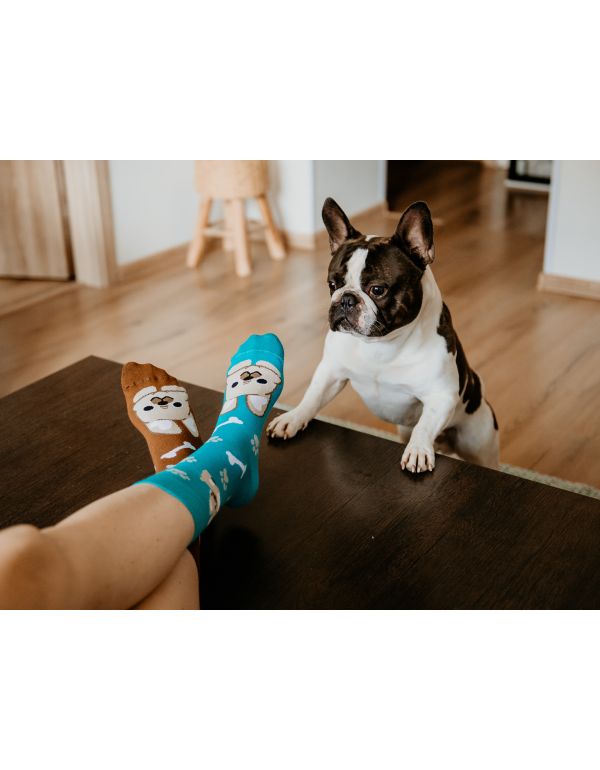 Vidám Bulldog zokni