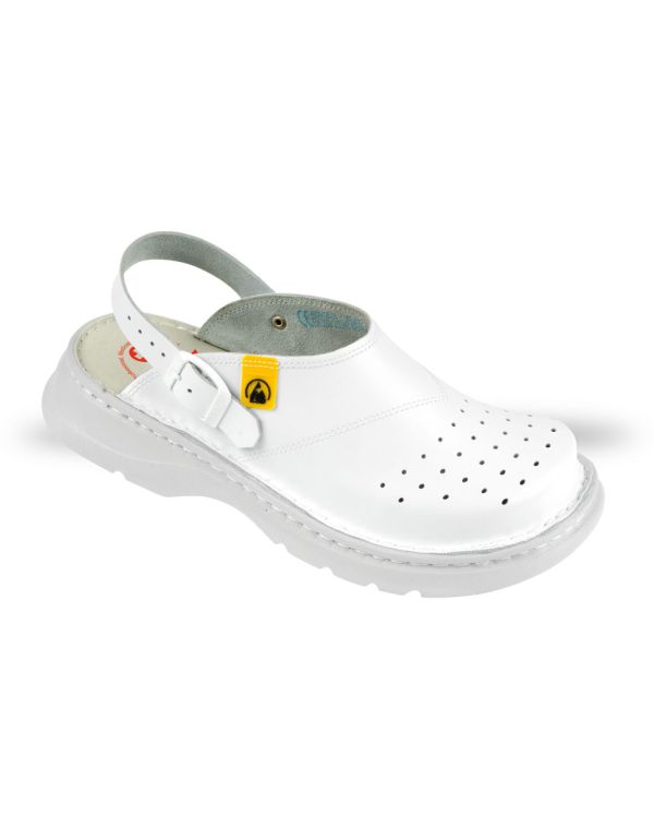 Anatomico 4101-ESD-21 klumpa